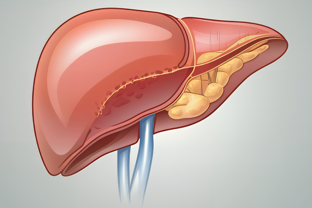Consulta de Hepatología con el Dr. José León Chirinos Revilla